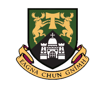 利莫瑞克大学 院校标识